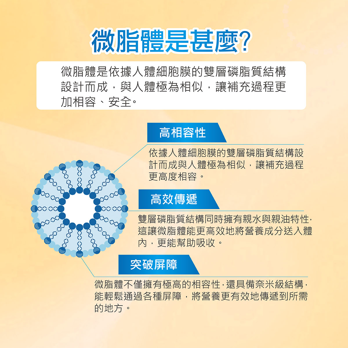 微脂體是甚麼?
